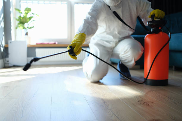 Reliable Odor Removal contractor in Dixon, CA by Trauma Clean Pros